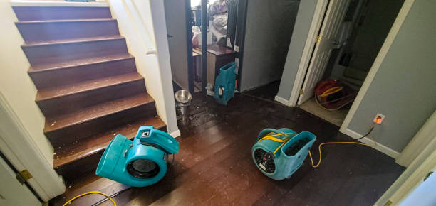 Best Water damage cleanup near me  in Sunnyslope, WA