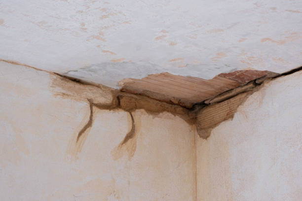 Best Emergency water extraction  in Sunnyslope, WA