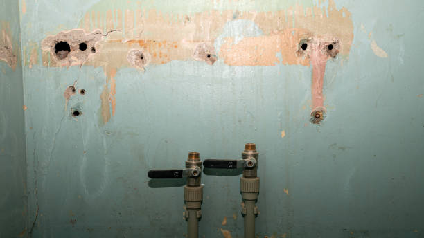 Best Flood damage cleanup  in Sunnyslope, WA