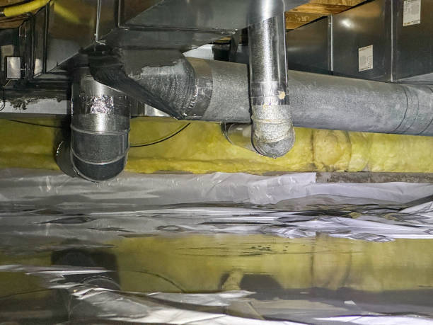 Best Mold removal after water damage  in Sunnyslope, WA