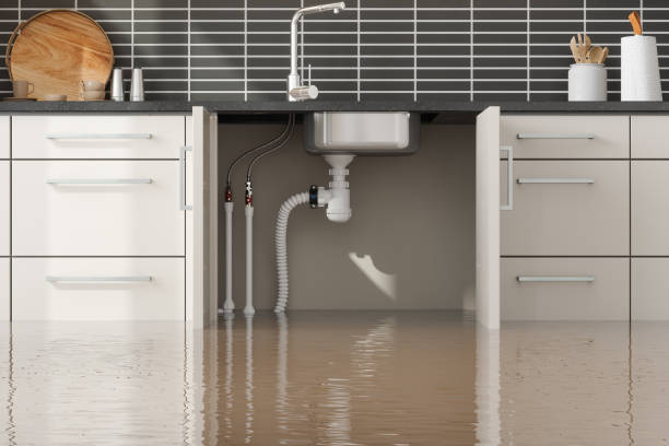 Best Water damage contractors near me  in Sunnyslope, WA