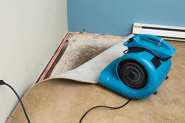 Best Ceiling water damage repair  in Sunnyslope, WA